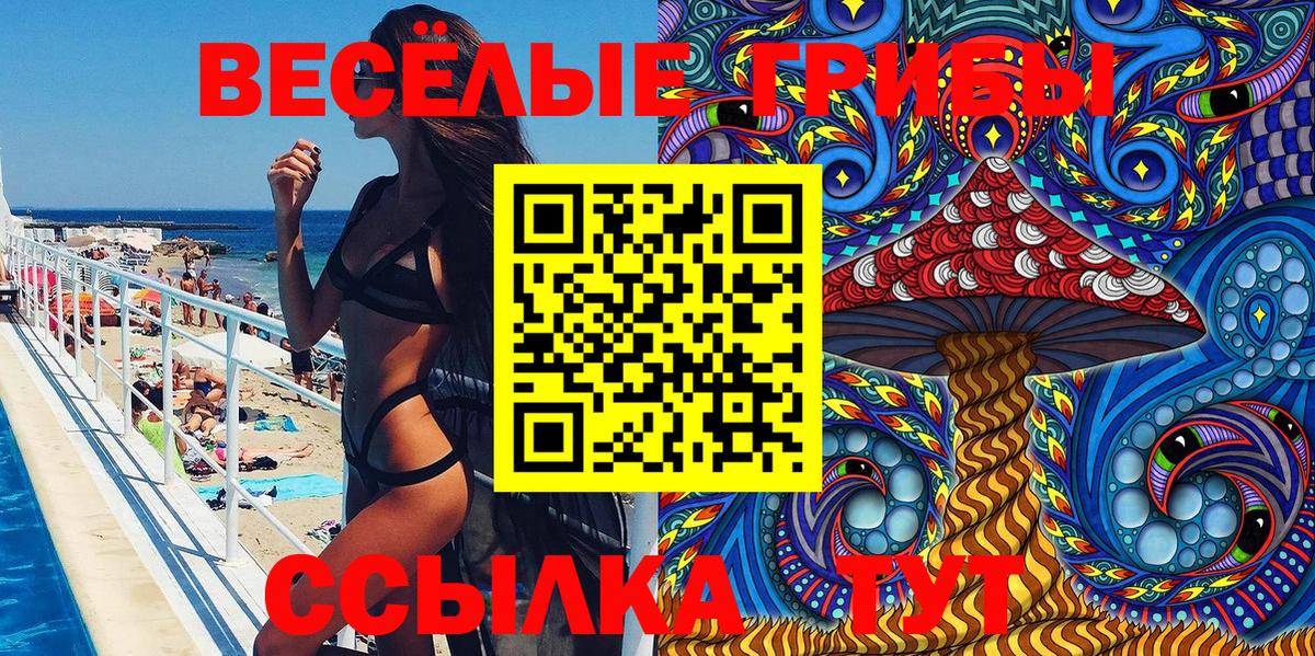 Галлюциногенные грибы Psilocybe  Вход с VPN  Благовещенск 